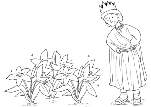 Matthew 6 28 29 God'S Provision Coloring Page